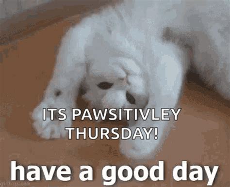 #How-To-Start-Your-<b>Day</b>; #<b>good</b>-morning; #positive; #vibes; #fun; #quotes; #snoopy; #dog; #Bubu-Kiss; #Peach. . Dont have a good day have a great day gif